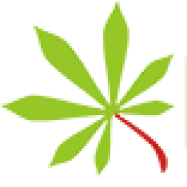Logo Pucuk Singkong